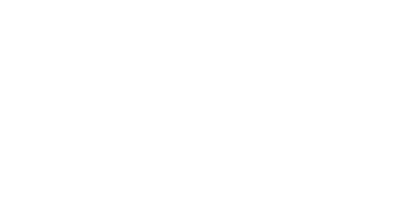 logo dampsoft