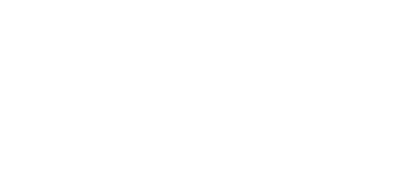 logo diehl