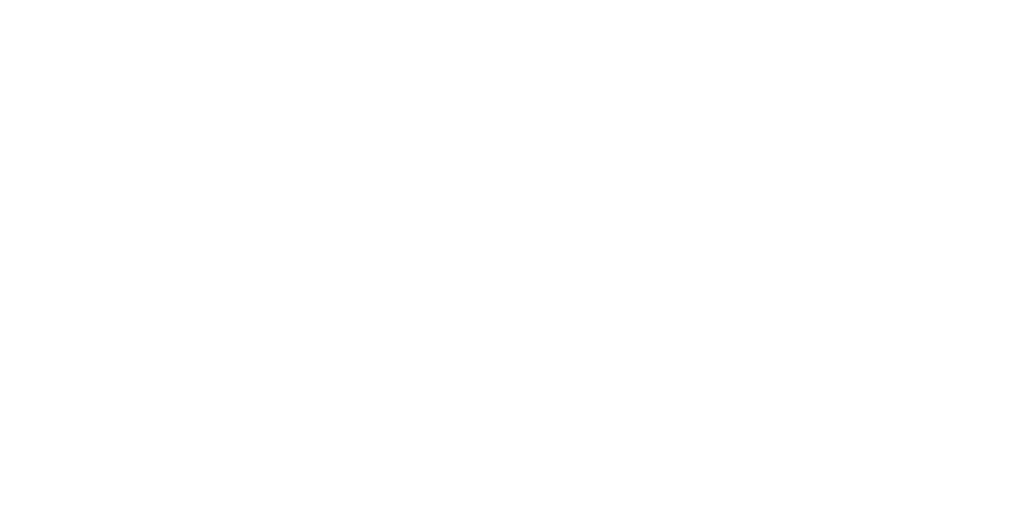 Logo Springer